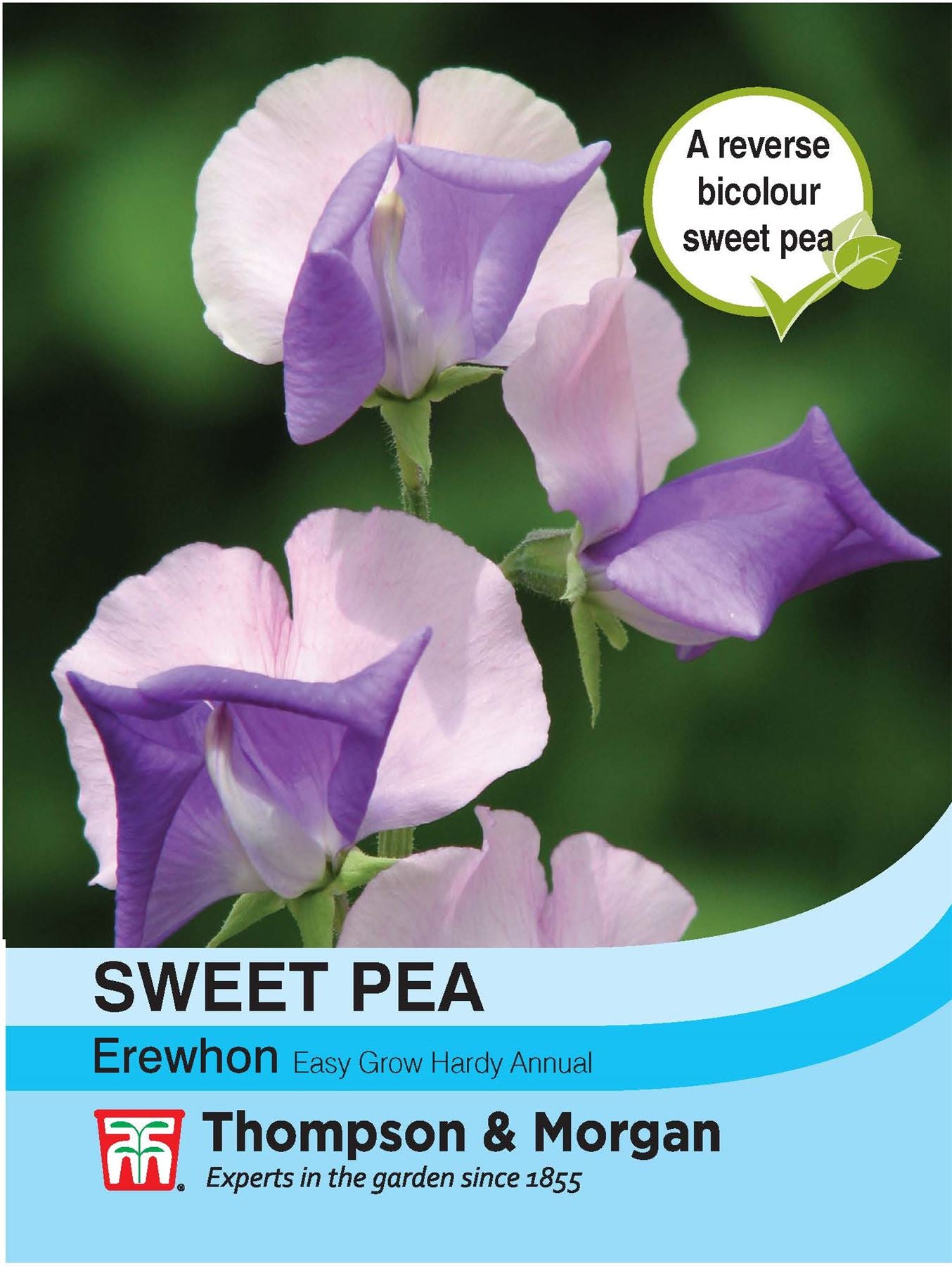 T&M - Flowers - Sweet Pea - Erewhon - 20 Seed