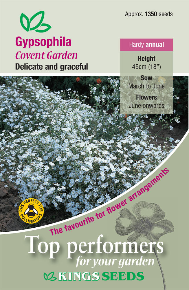 Kings Seeds Gypsophila Covent Garden 1350 Seeds