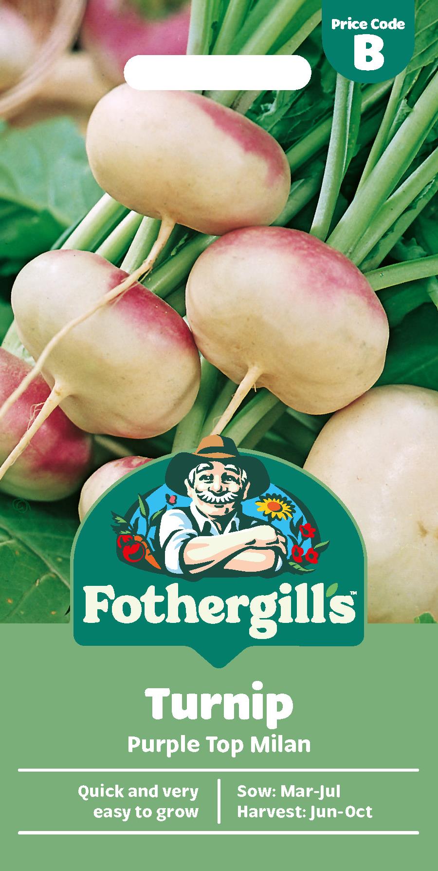 Fothergills Turnip Purple Top Milan Seeds