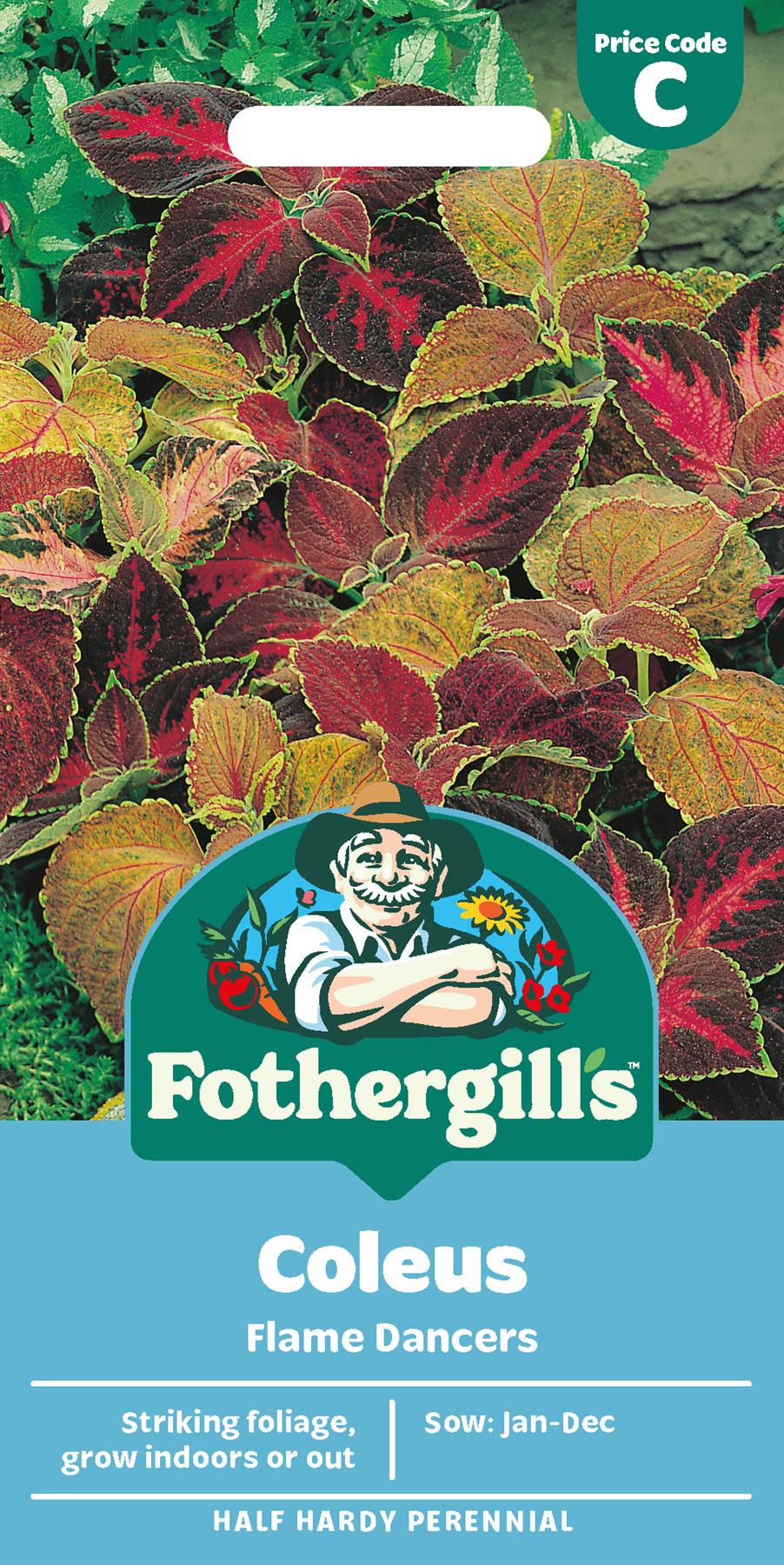 Fothergills Coleus Flame Dancers Seeds