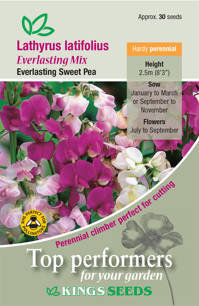 Kings Seeds Lathyrus Everlasting Mix 20 Seed