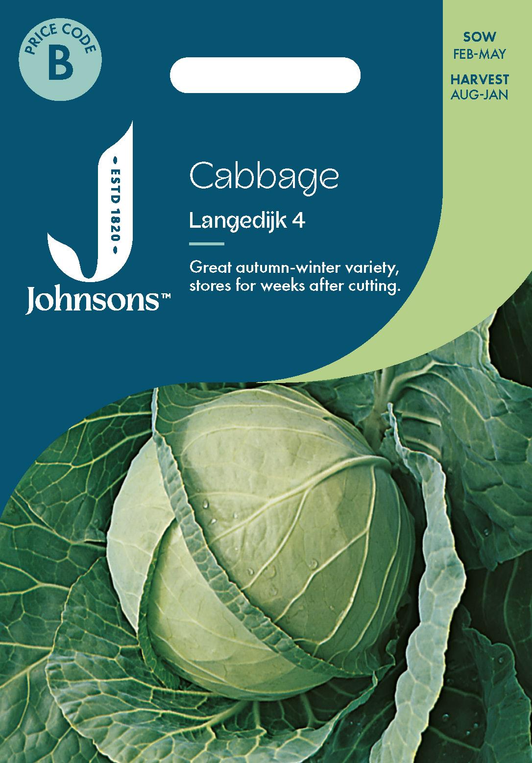 Johnsons - Cabbage Langedijk 4 - 350 Seeds