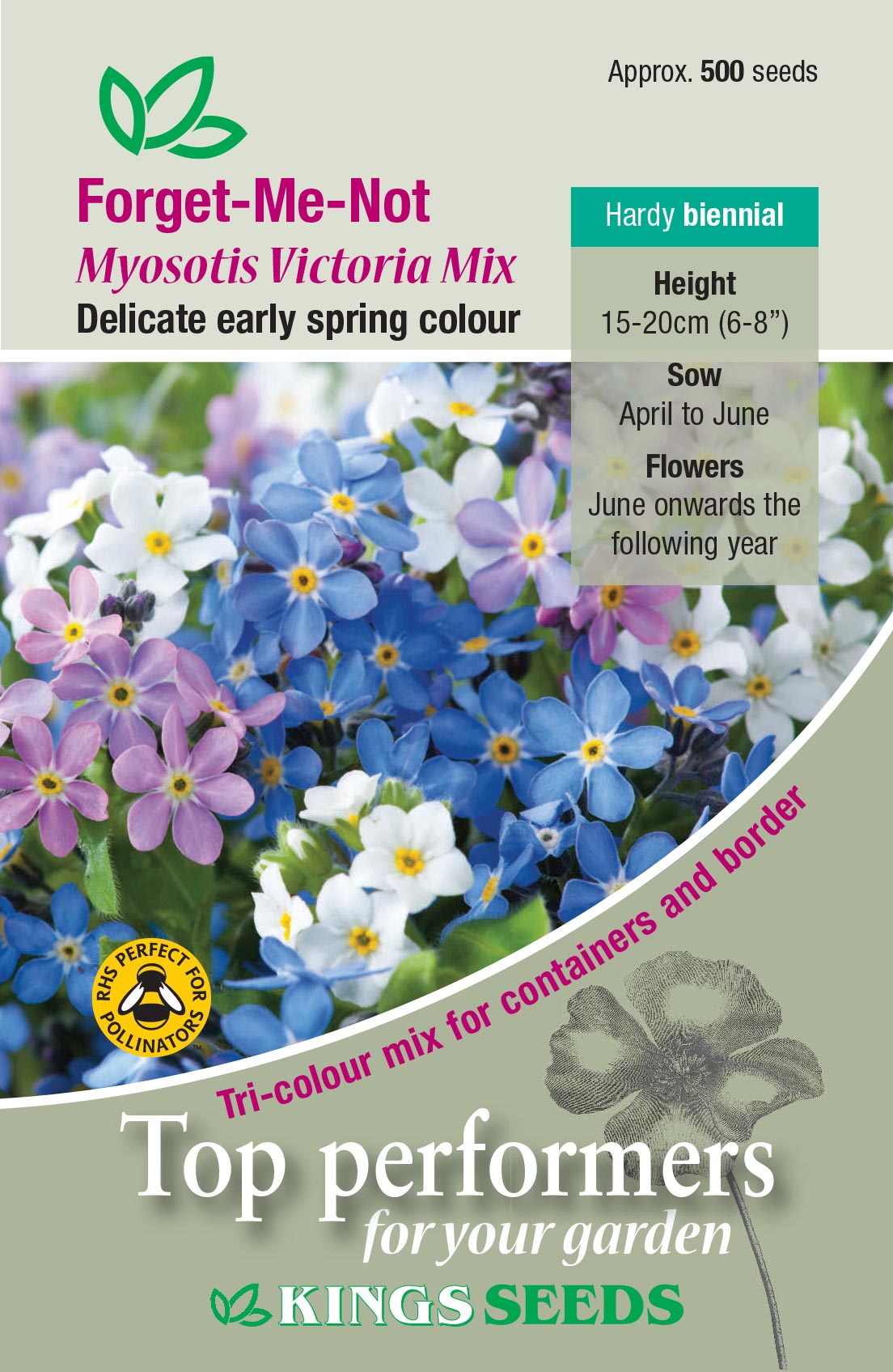Kings Seeds Myosotis Forget Me Not Victoria Mix 500 Seed