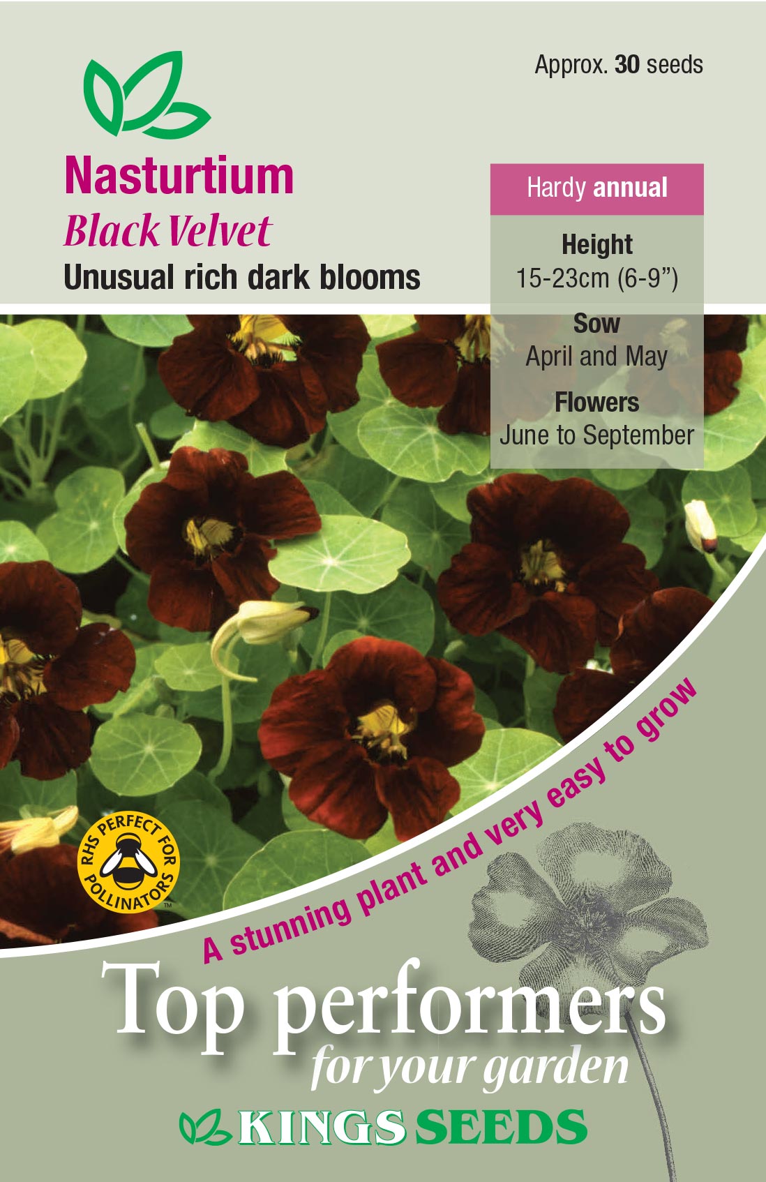 Kings Seeds Nasturtium Black Velvet Seeds