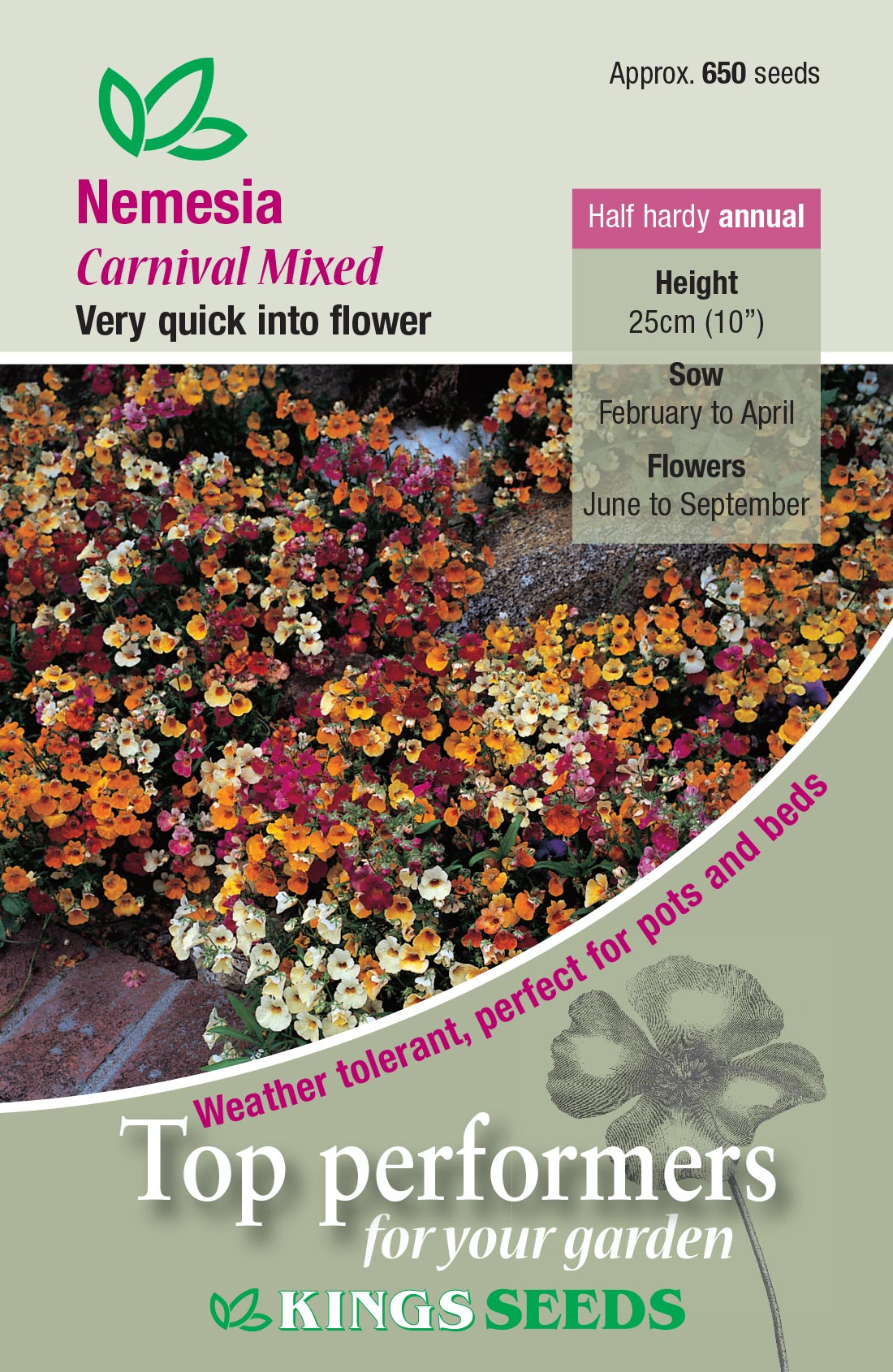 Kings Seeds Nemesia Carnival Mixed 650 Seeds