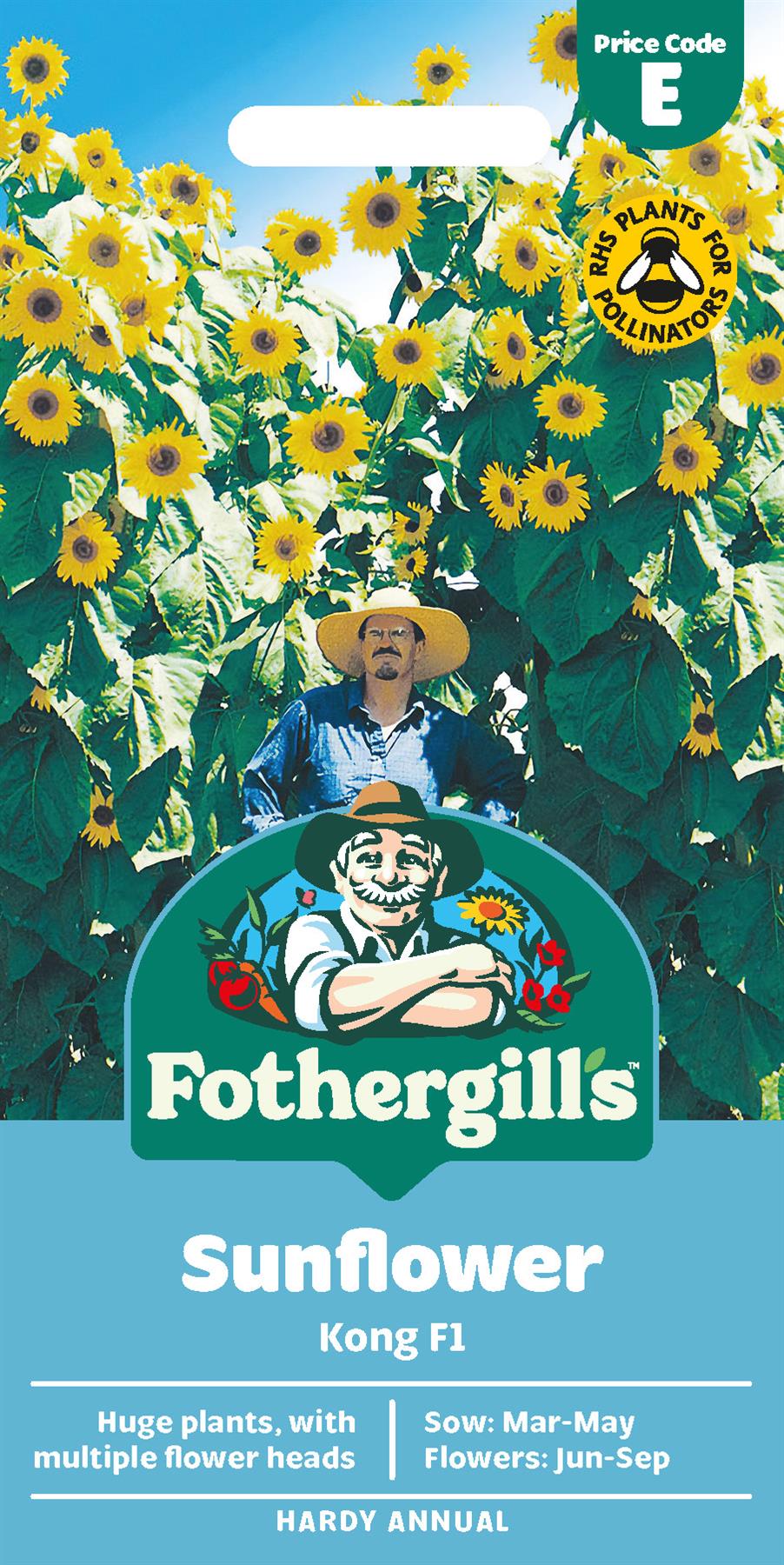 Fothergills Sunflower Kong F1 Seeds