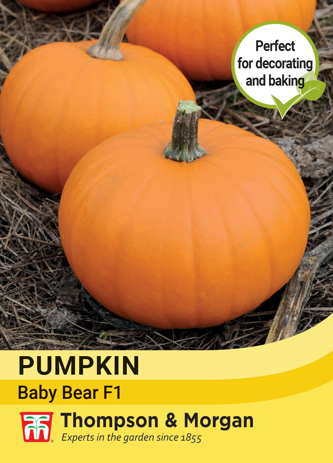 Thompson & Morgan Vegetable Pumpkin Baby Bear F1 - 10 Seeds