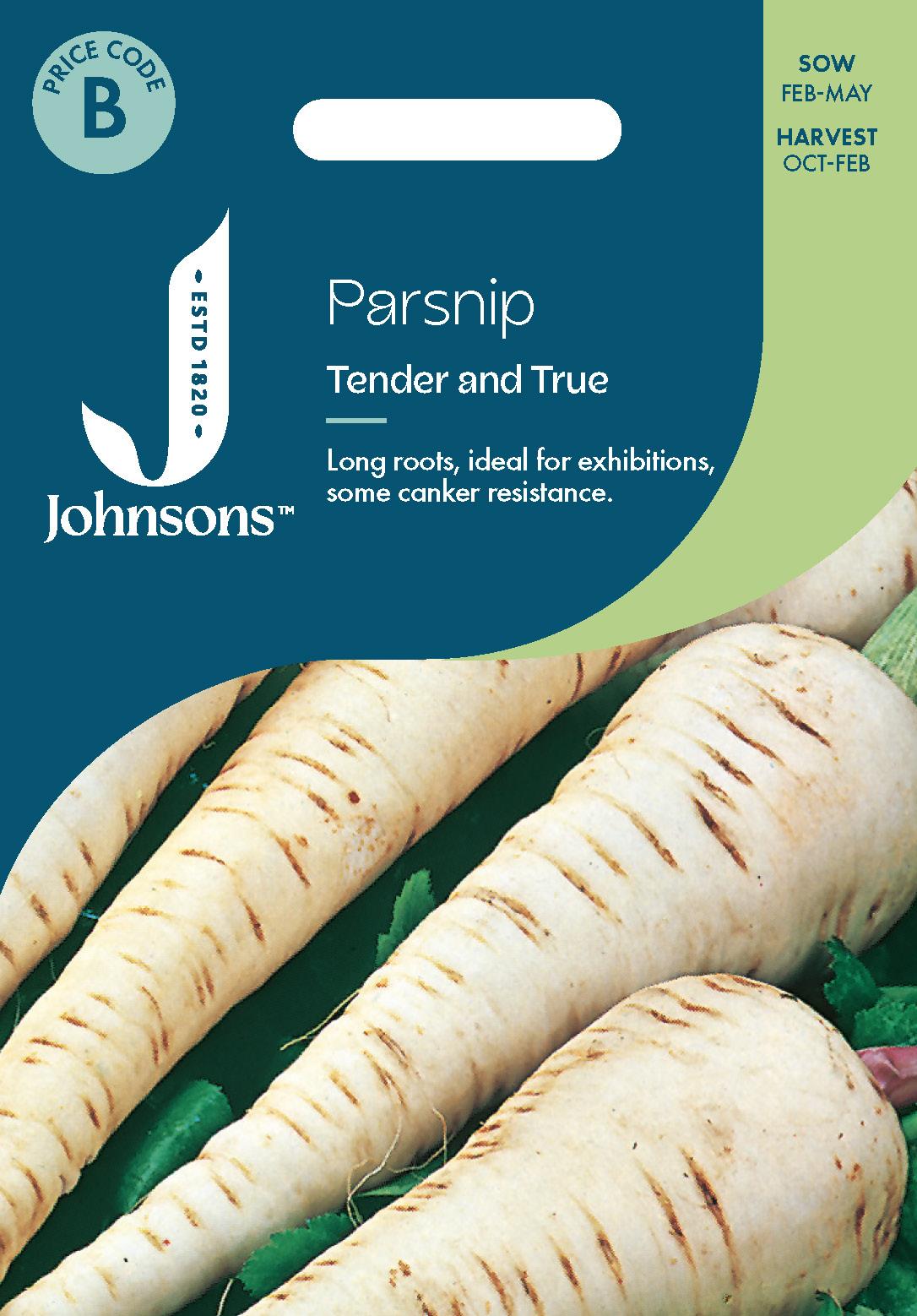Johnsons - Parsnip Tender and True - 500 Seeds