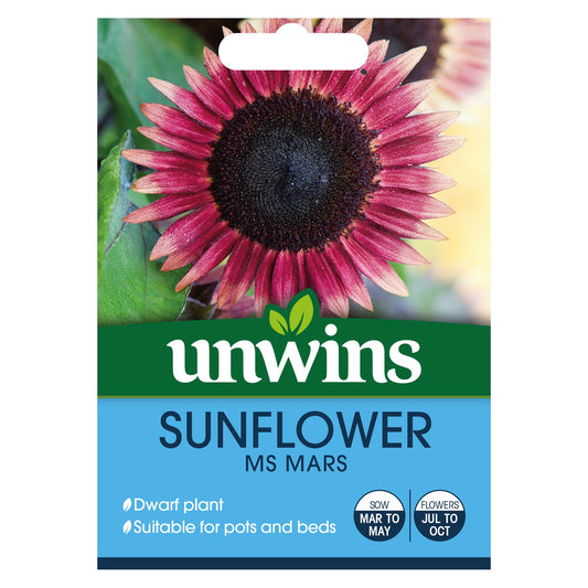 Unwins - Flower - Sunflower Ms Mars Seeds