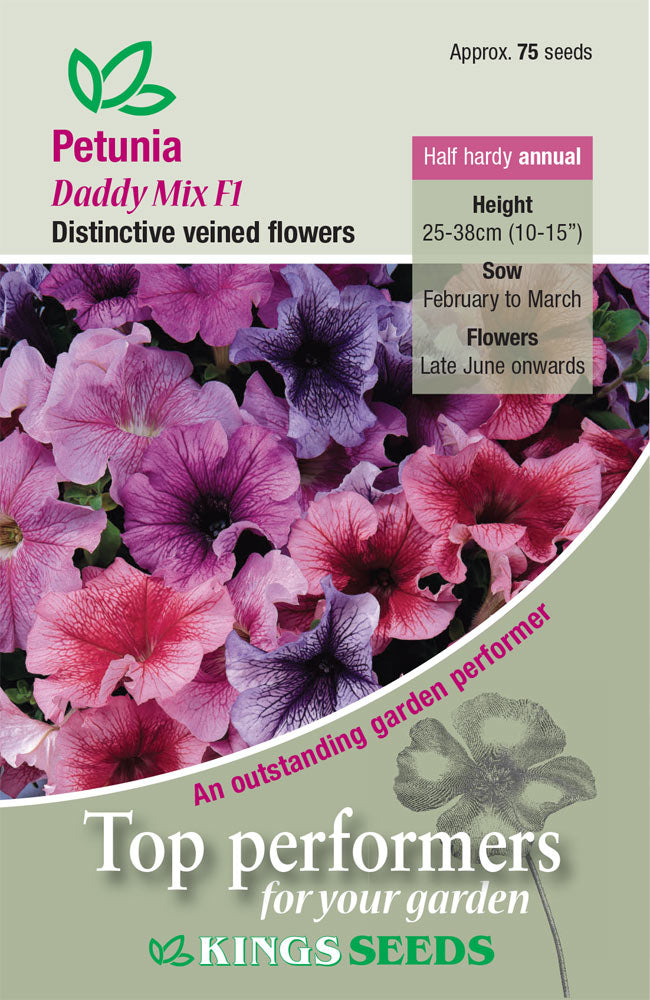 Kings Seeds Petunia Daddy Mix F1 - 75 Seed