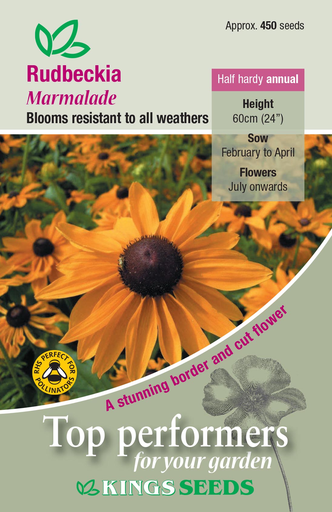Kings Seeds Rudbeckia Marmalade 450 Seeds