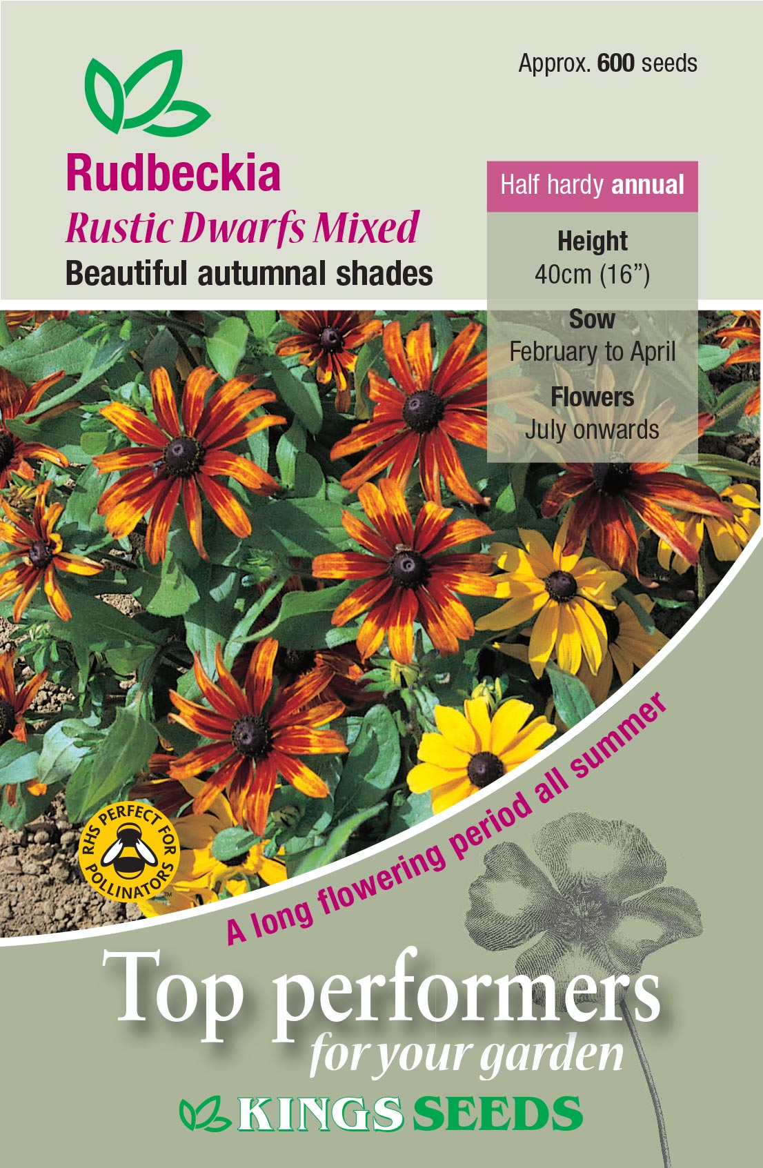 Kings Seeds Rudbeckia Rustic Dwarfs Mixed 600 Seeds