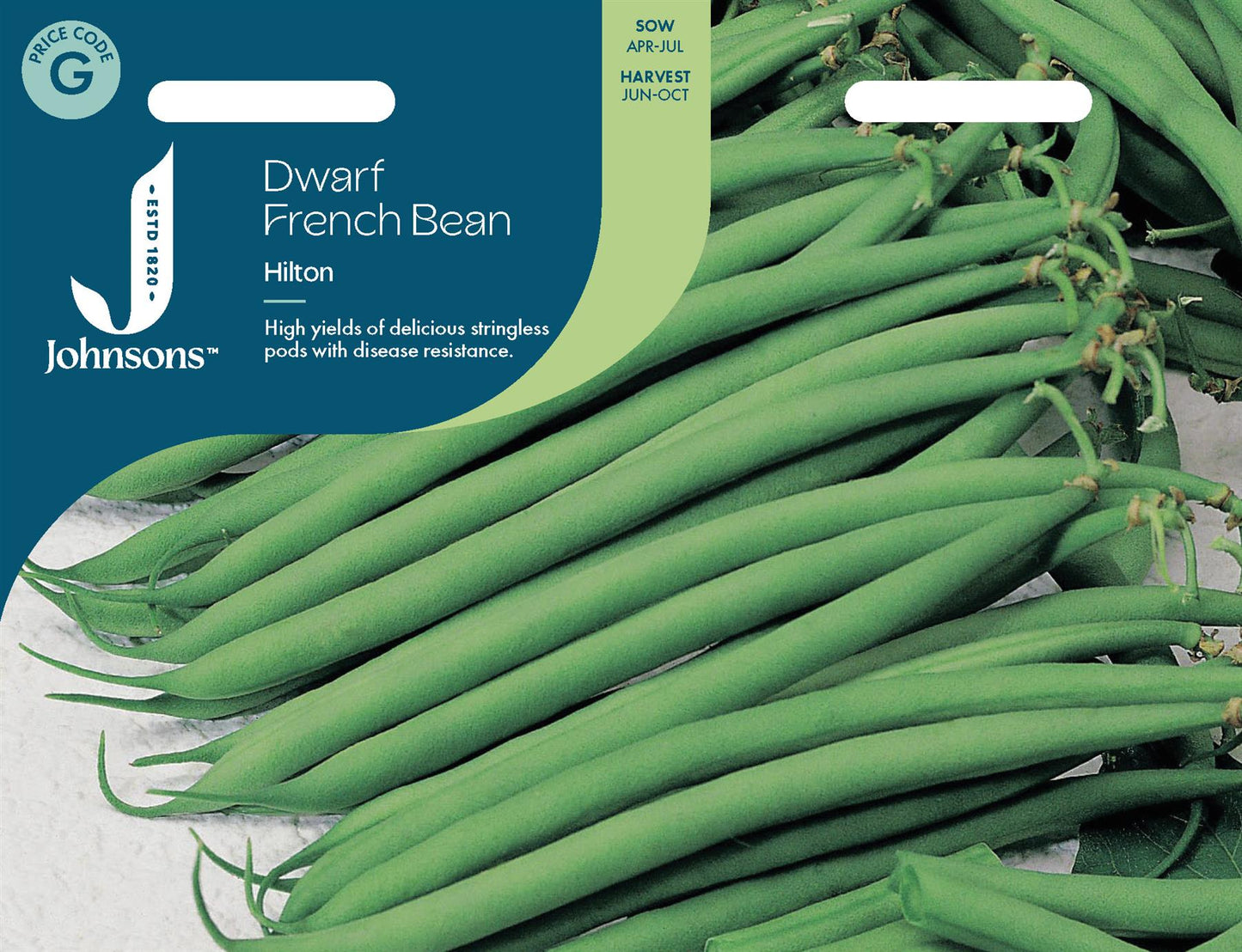 Johnsons - Dwarf French Bean Hilton - 100 Seeds
