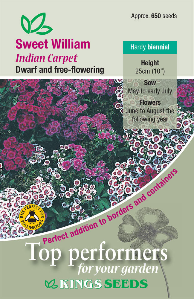 Kings Seeds Sweet William Indian Carpet 650 Seeds