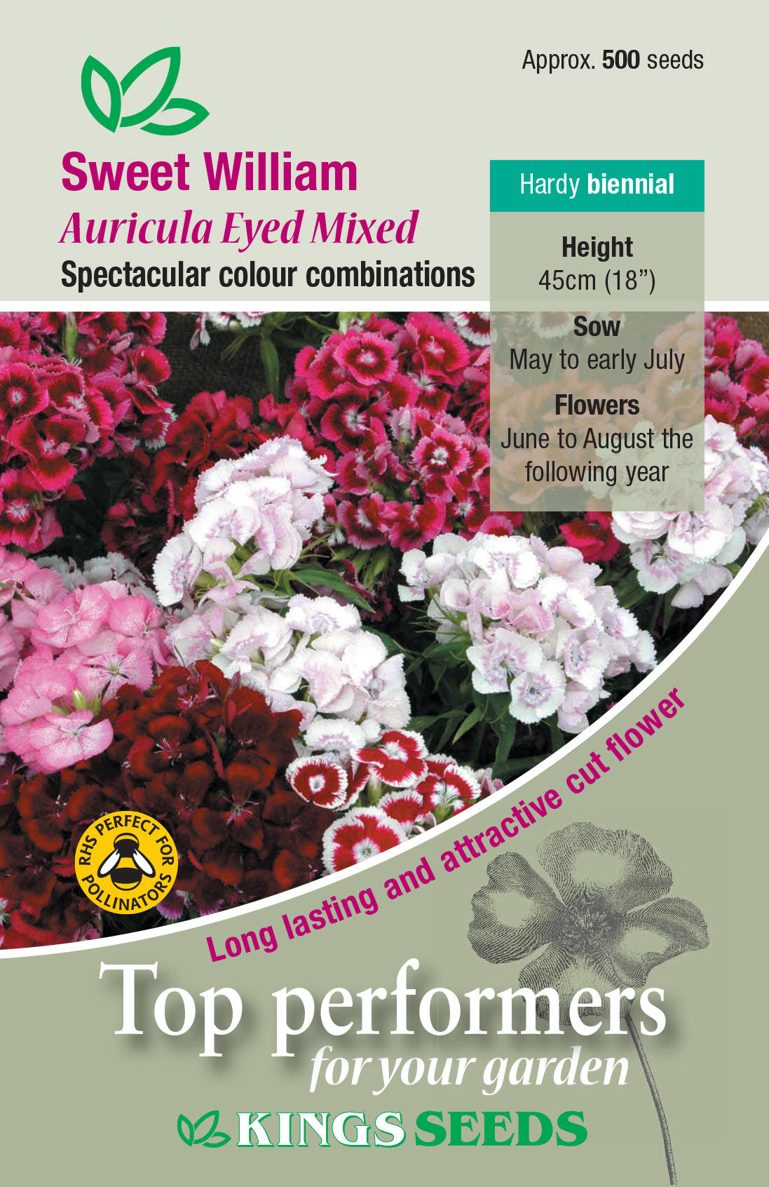 Kings Seeds Sweet William Auricula Eyed Mix Seeds