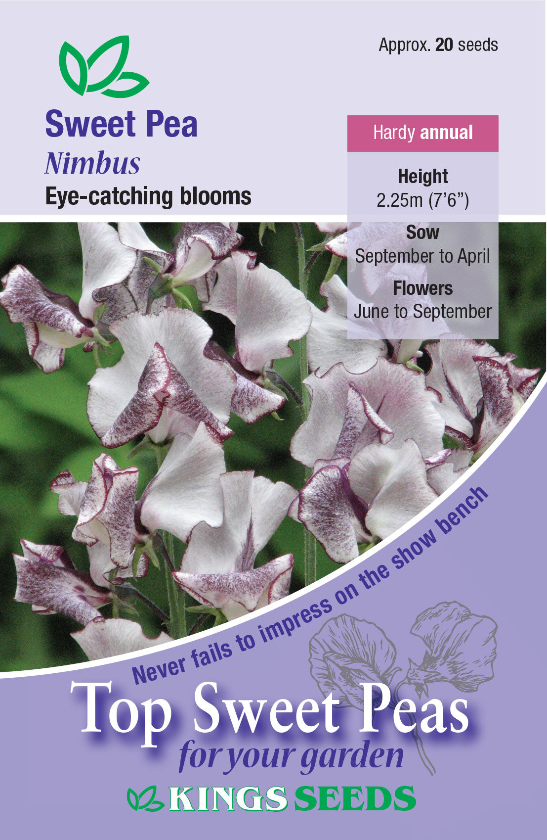Kings Seeds Sweet Pea Nimbus 20 Seed
