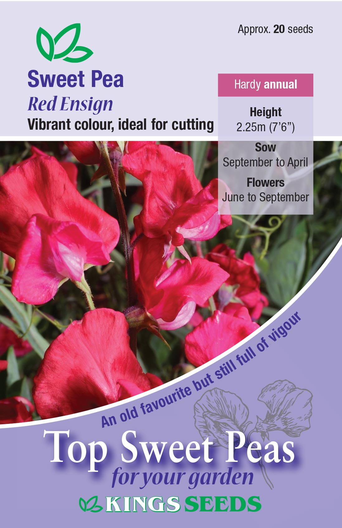 Kings Seeds Sweet Pea Red Ensign 20 Seed