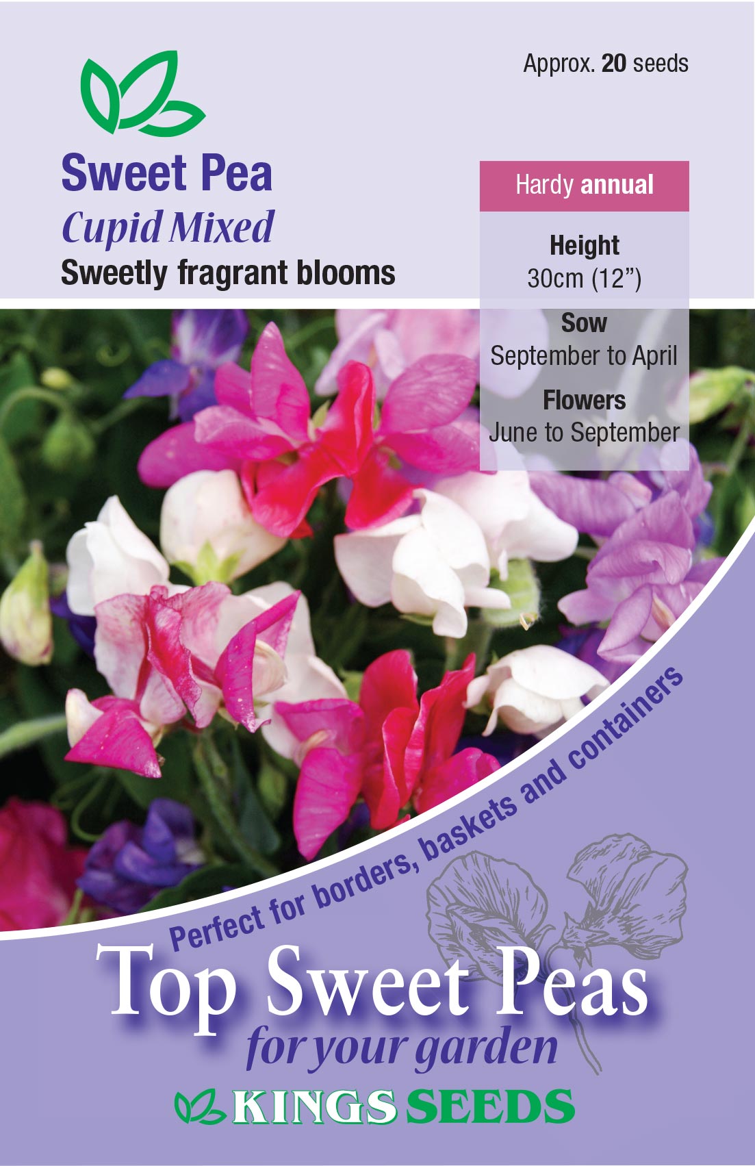 Kings Seeds Sweet Pea Cupid Mixed 20 Seed