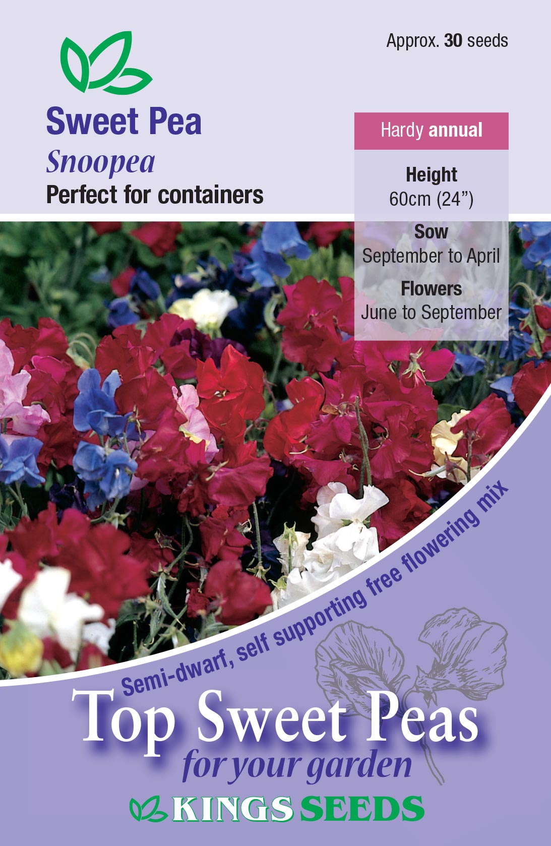 Kings Seeds Sweet Pea Snoopea 30 Seeds