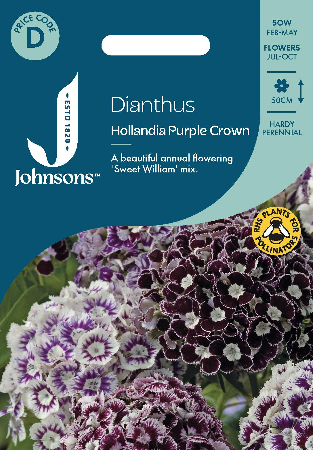 Johnsons - Dianthus Hollandia Purple Crown - 100 Seeds