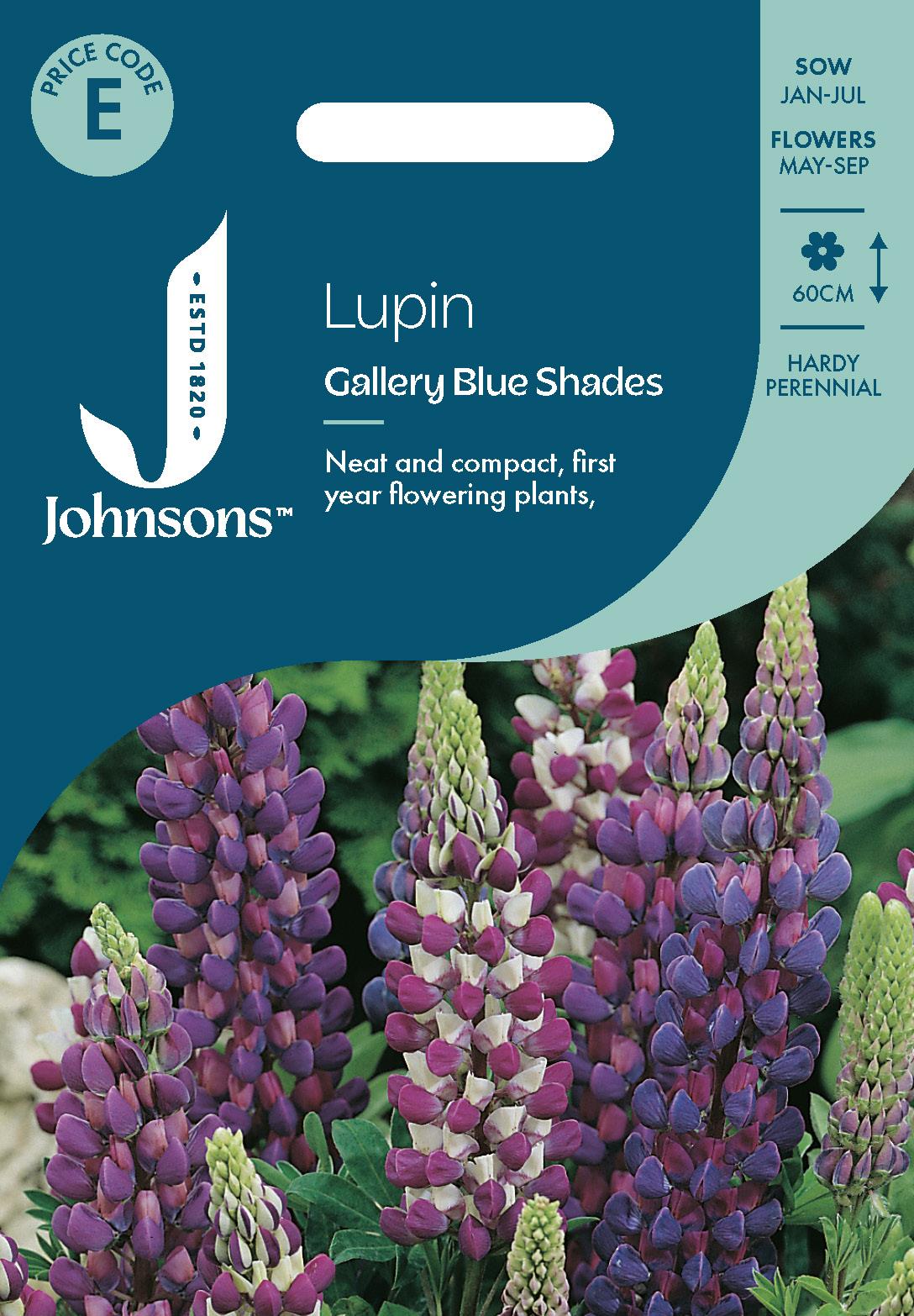 Johnsons - Lupin Gallery Blue Shades - 20 Seeds