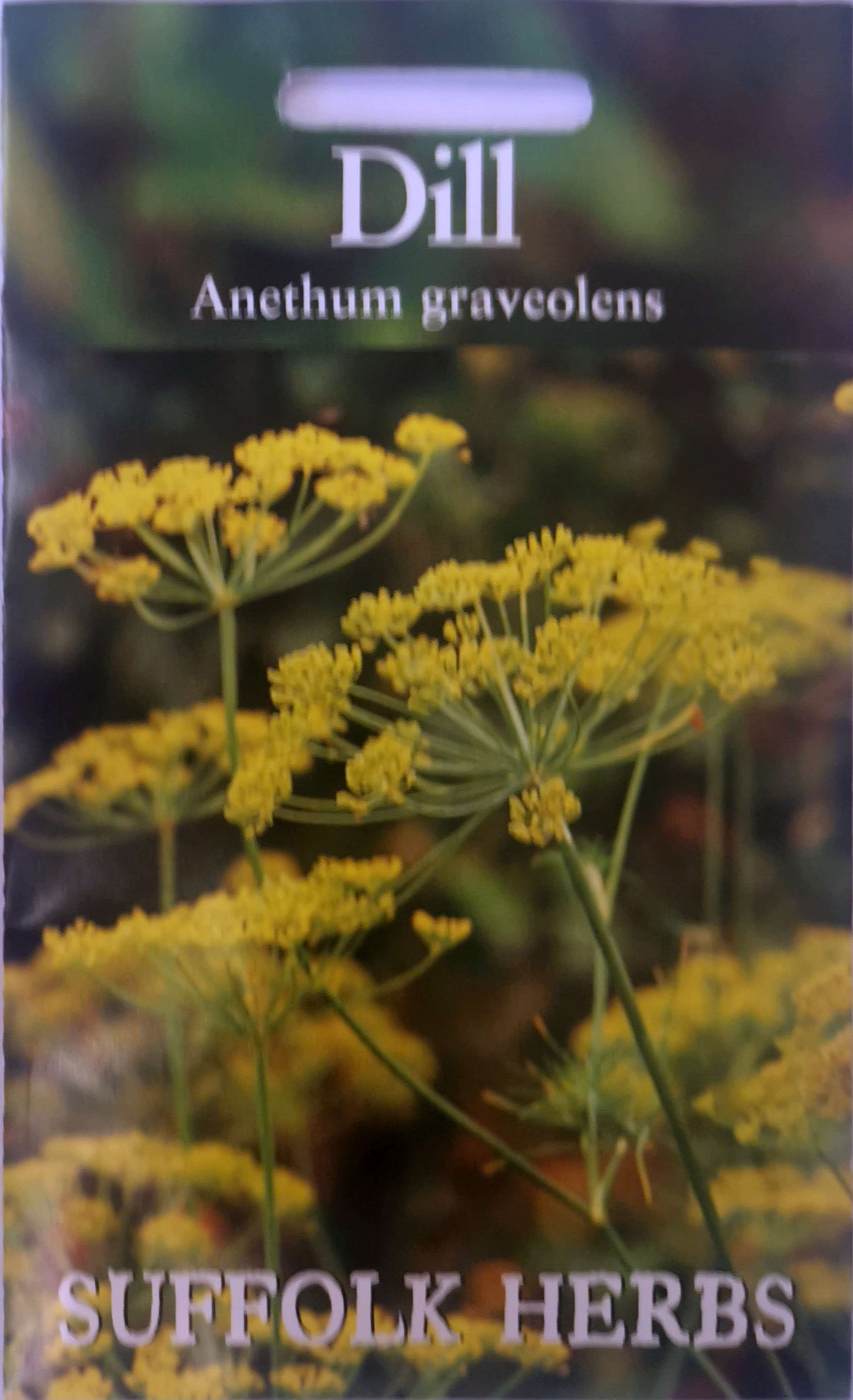 Suffolk Herbs Dill Dukat 500 Seeds