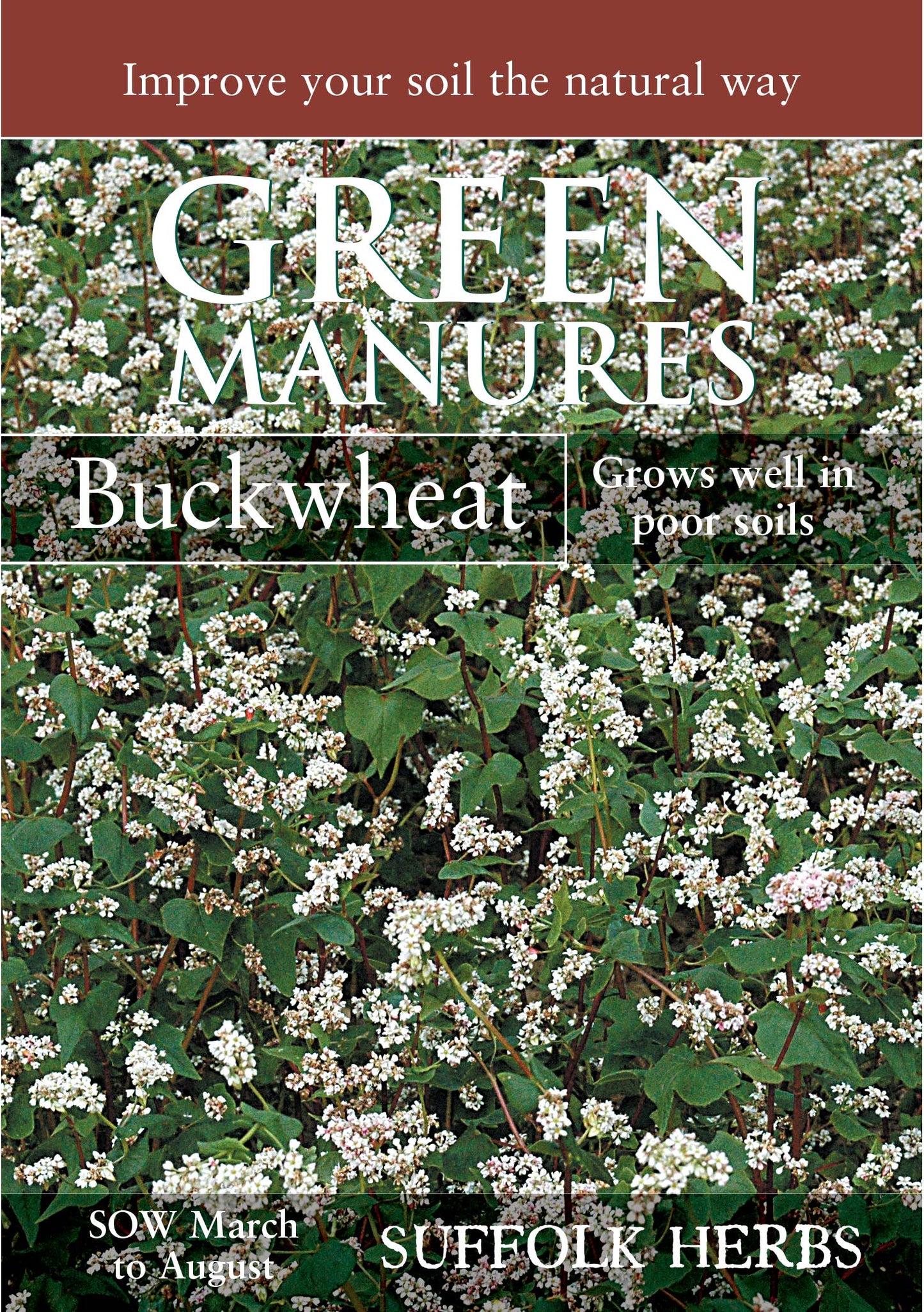 Kings Seeds Green Manure Buckwheat Seeds