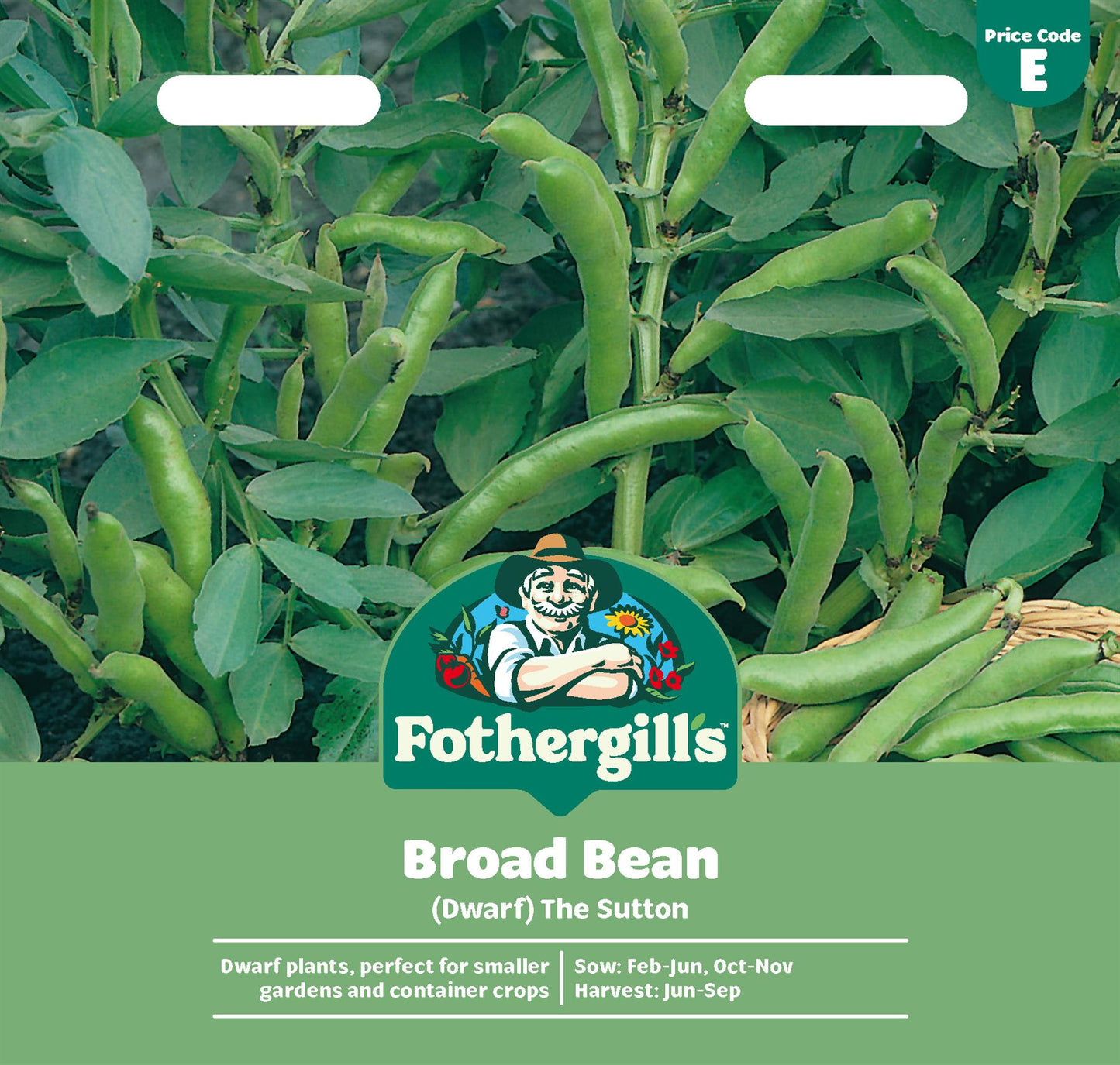 Fothergills Broad Bean (Dwarf) The Sutton Seeds