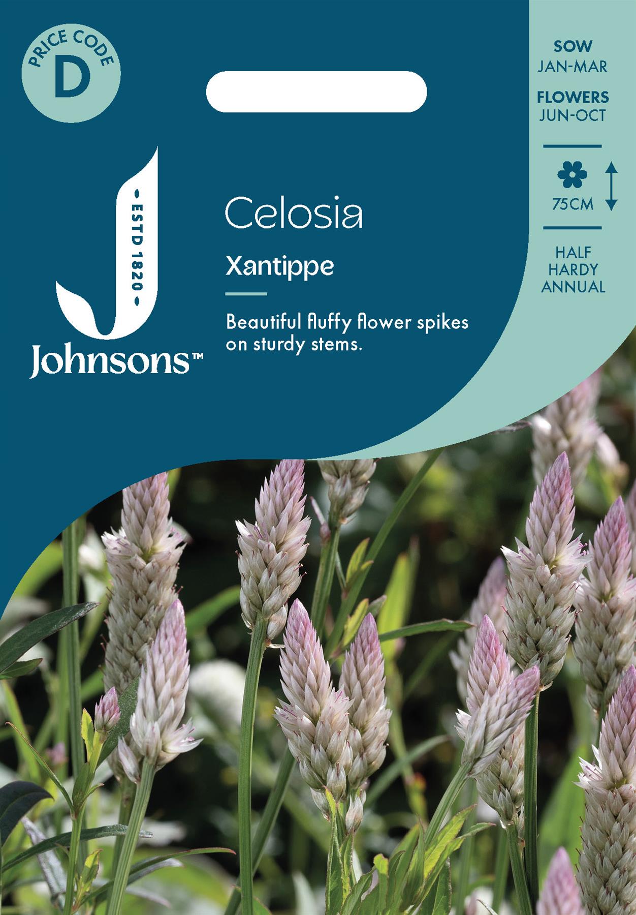 Johnsons - Celosia Xantippe - 200 Seeds