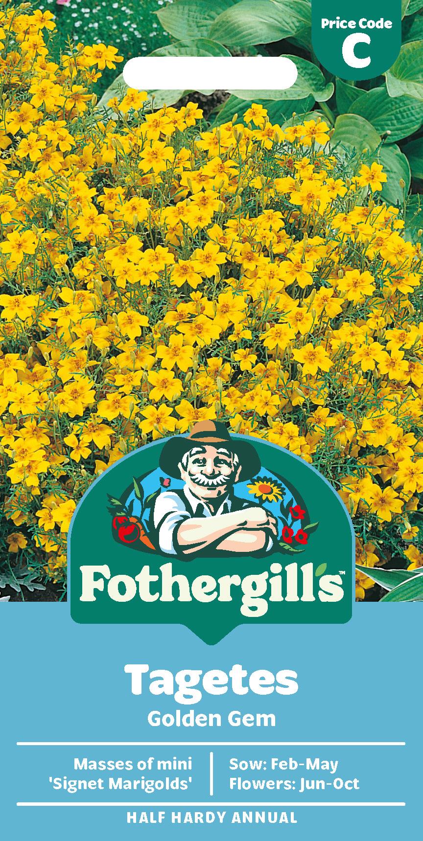 Fothergills Tagetes Golden Gem Seeds