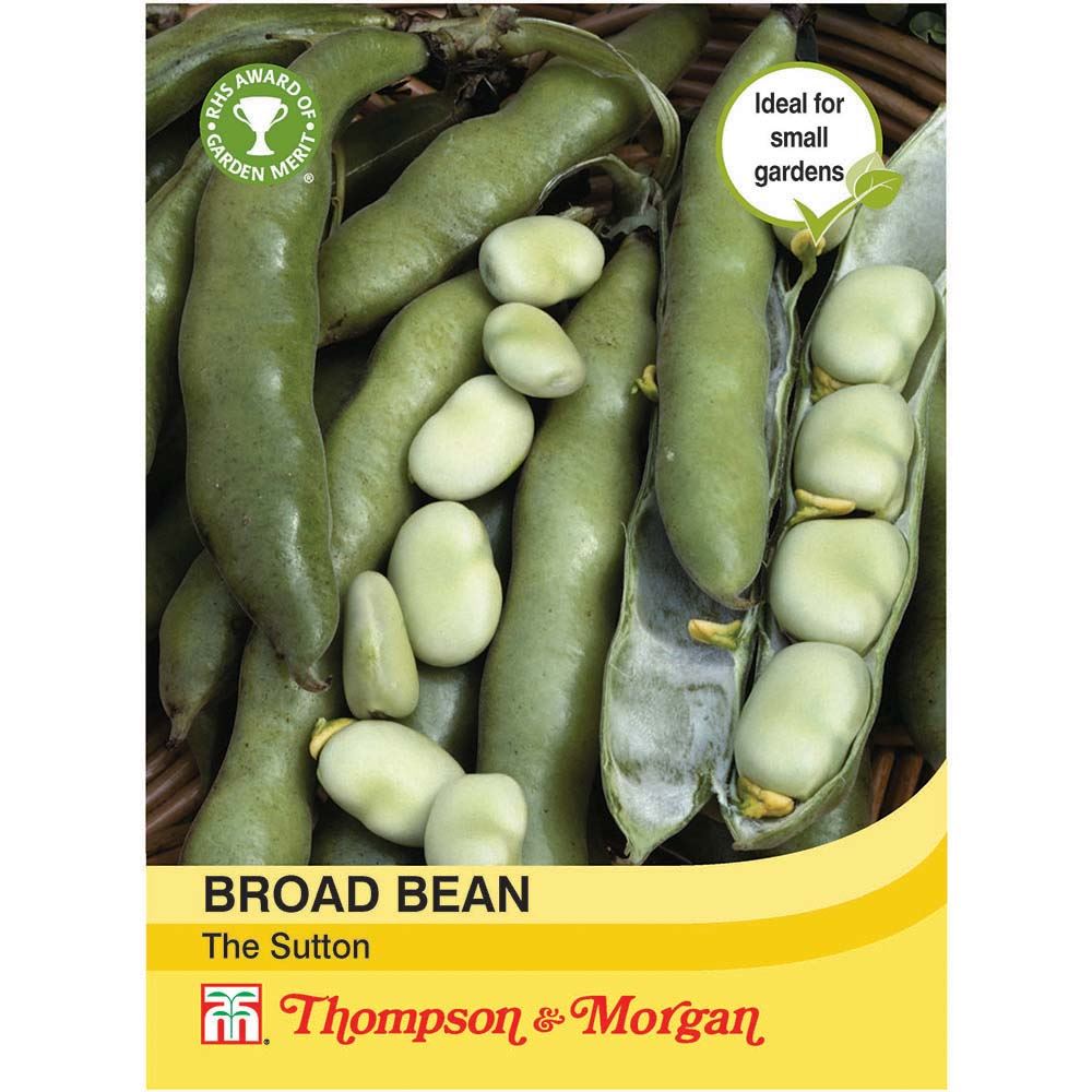 Thompson & Morgan Vegetable Broad Bean The Sutton - 30 Seeds