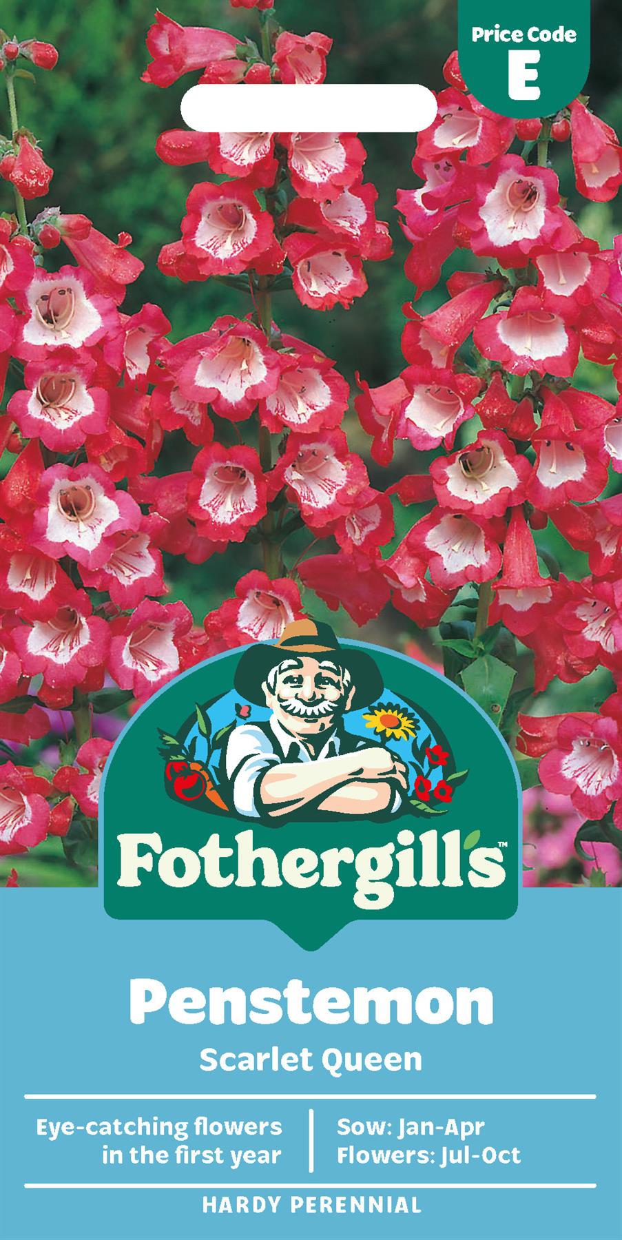 Fothergills Penstemon Scarlet Queen Seeds