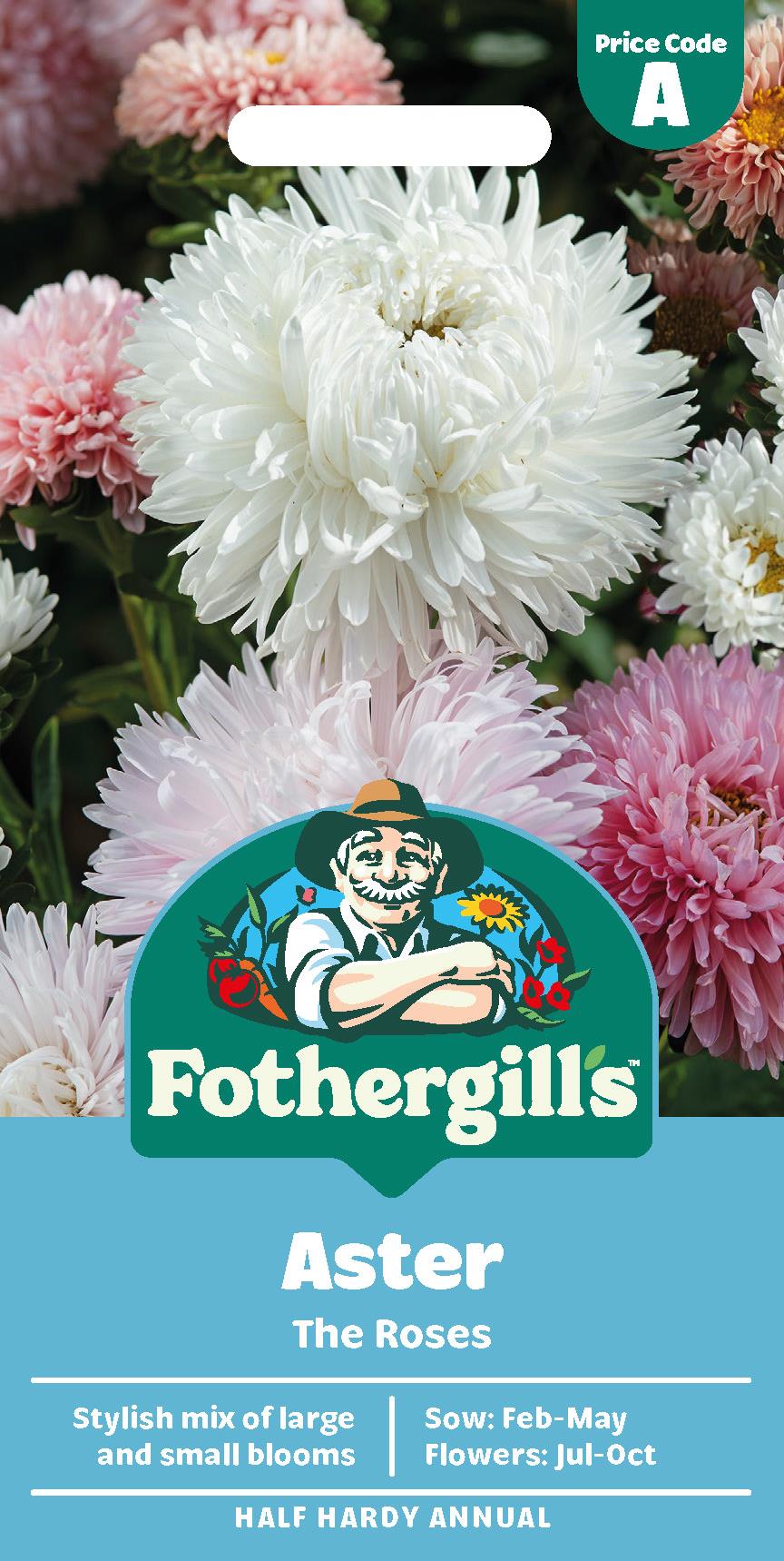 Fothergills Aster The Roses Seeds