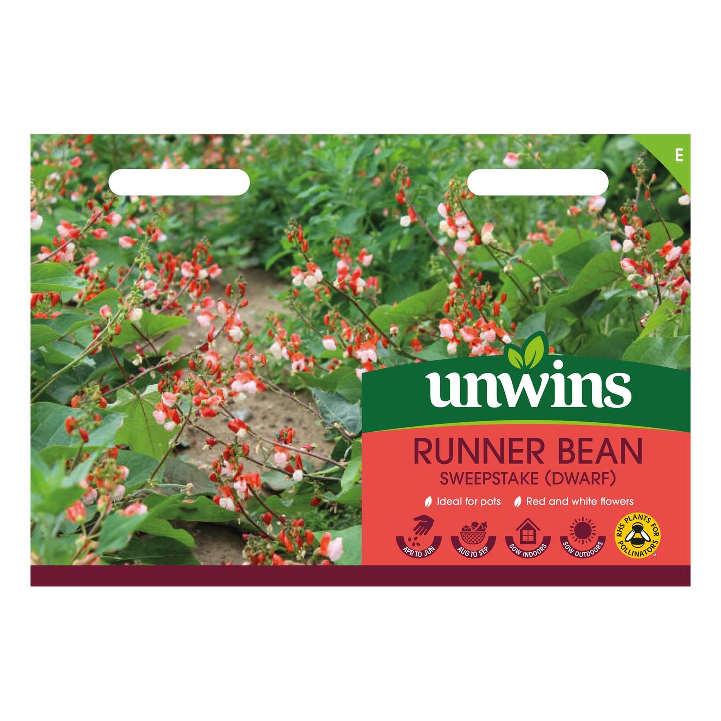 Unwins Vegetable Runner Bean Dwarf Sweepstake - 30 Seeds