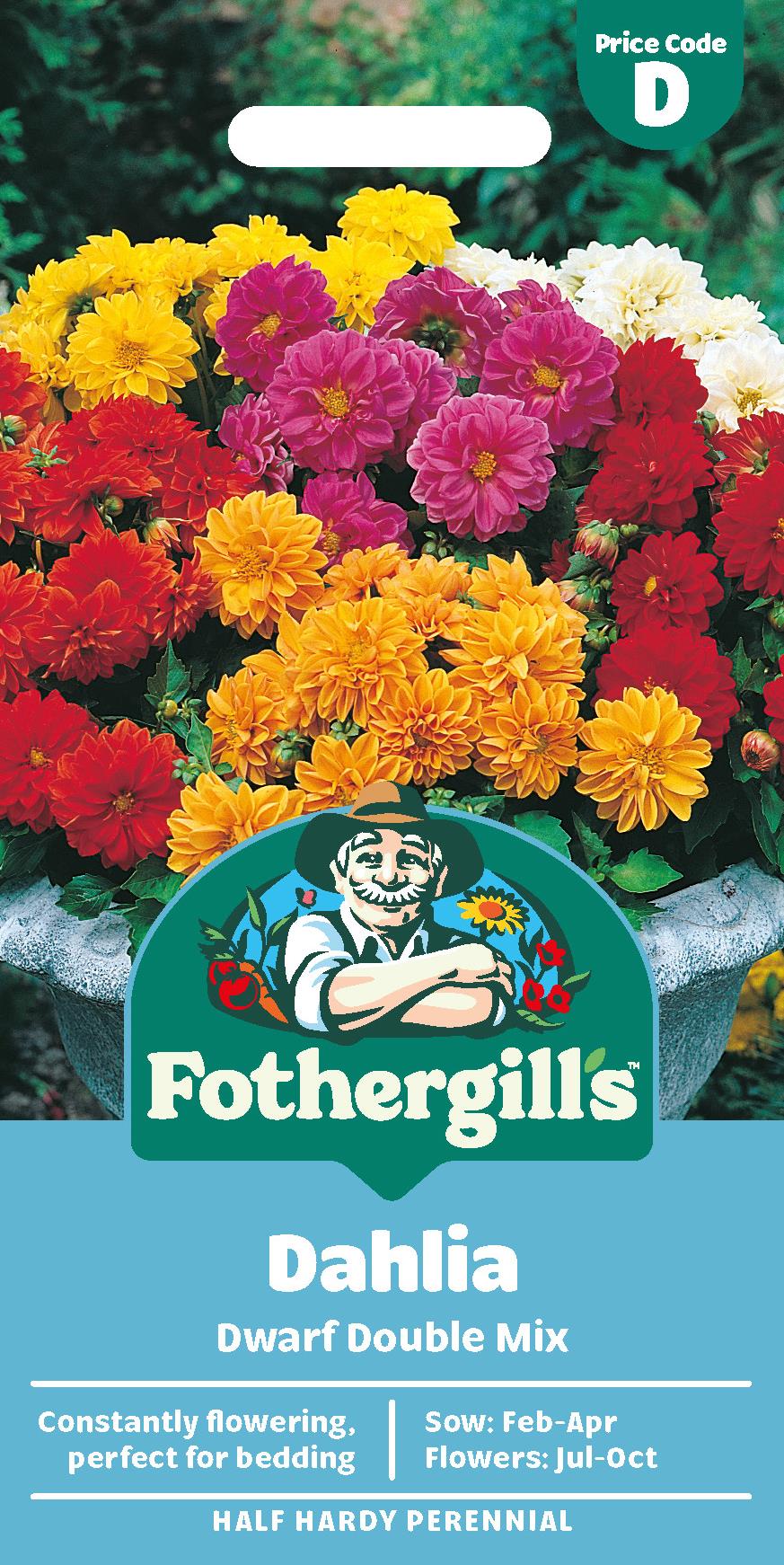 Fothergills Dahlia Dwarf Double Mix Seeds