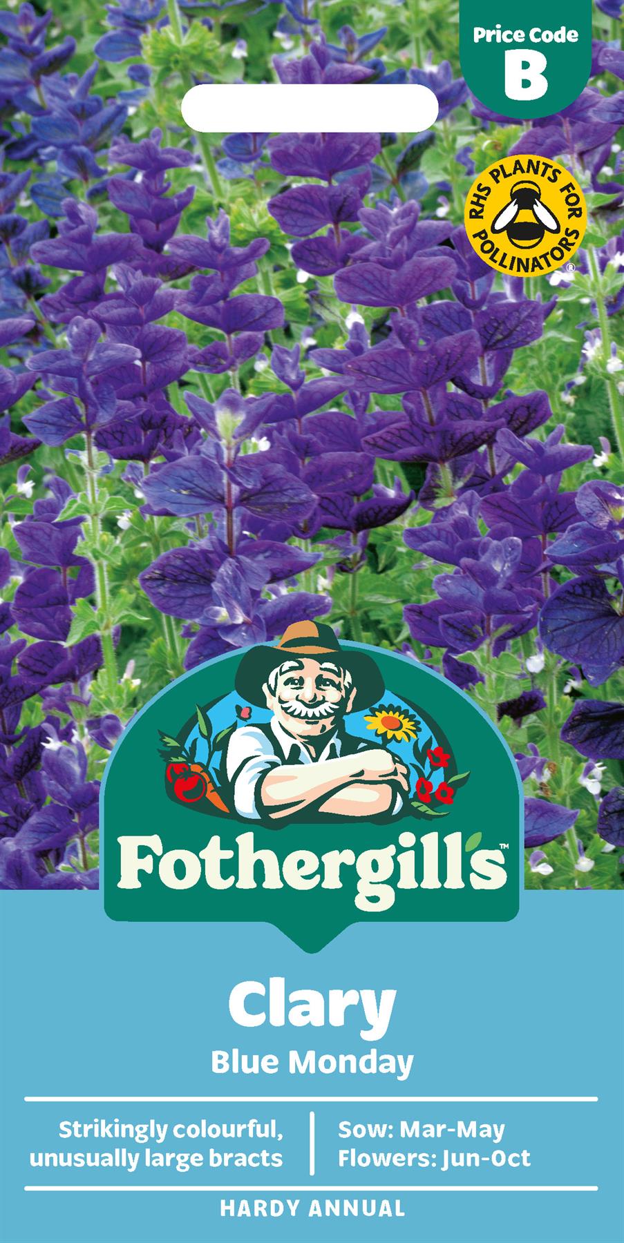 Fothergills Clary Blue Monday Seeds