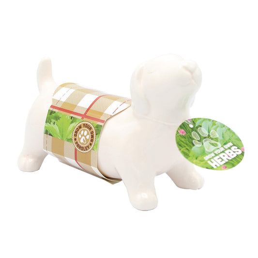 Bees Seeds - Sausage Dog - Novelty Parsley Herb Planter