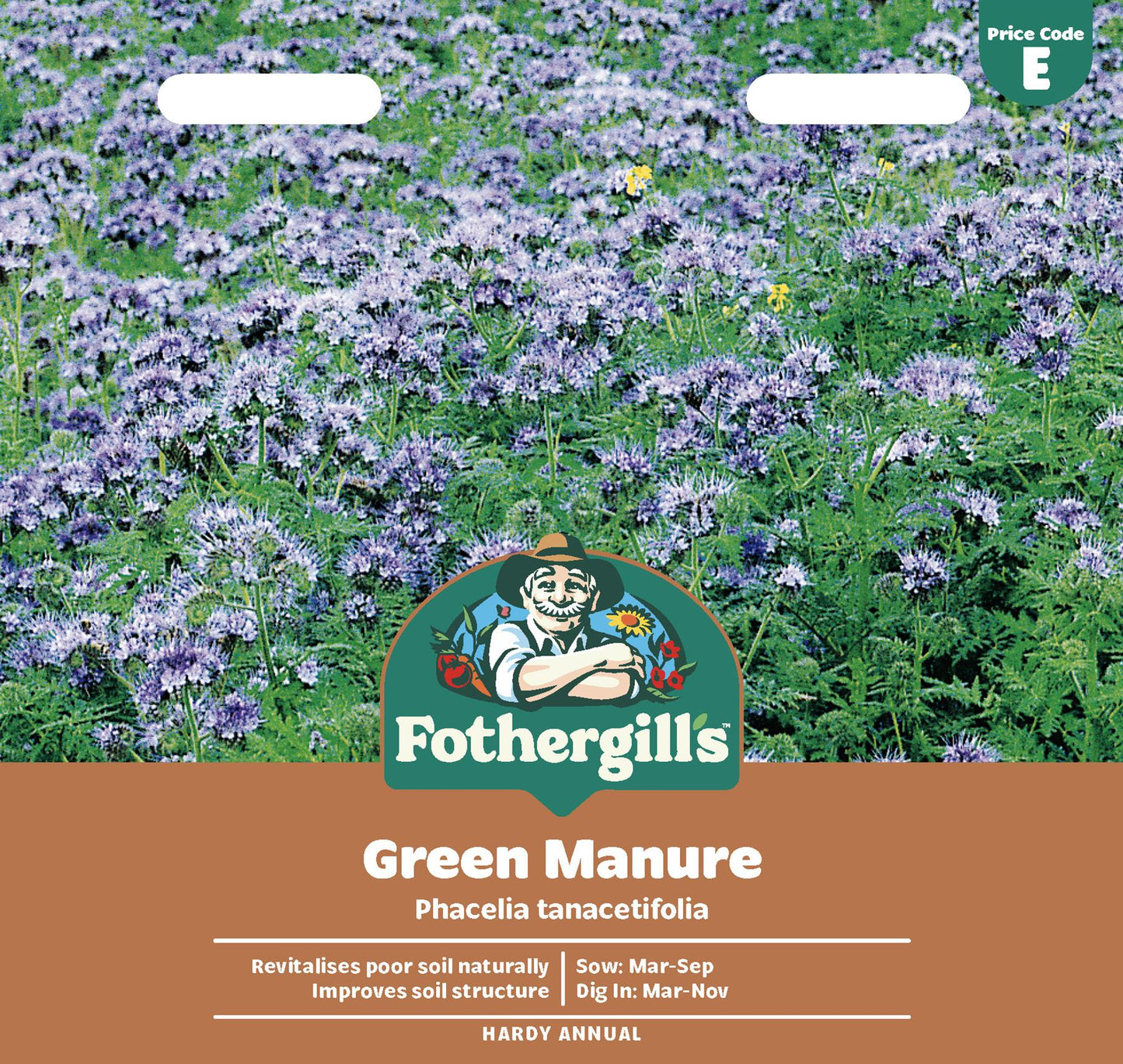 Fothergills Green Manure Phacelia Tanacetifolia Seeds