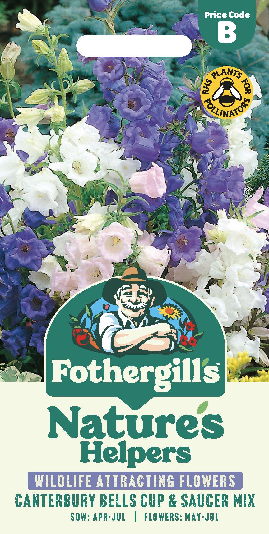 Fothergills Nature Haven Canterbury Bells Cup & Saucer Mix Seeds