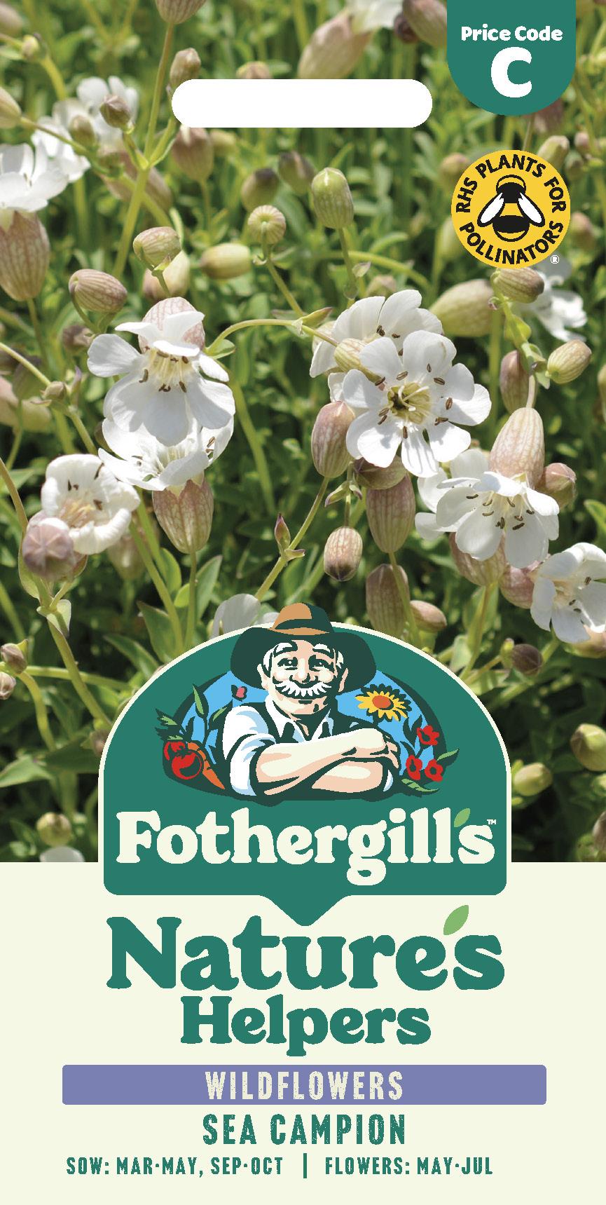 Fothergills Wild flowers Nature Haven Sea Campion Seeds