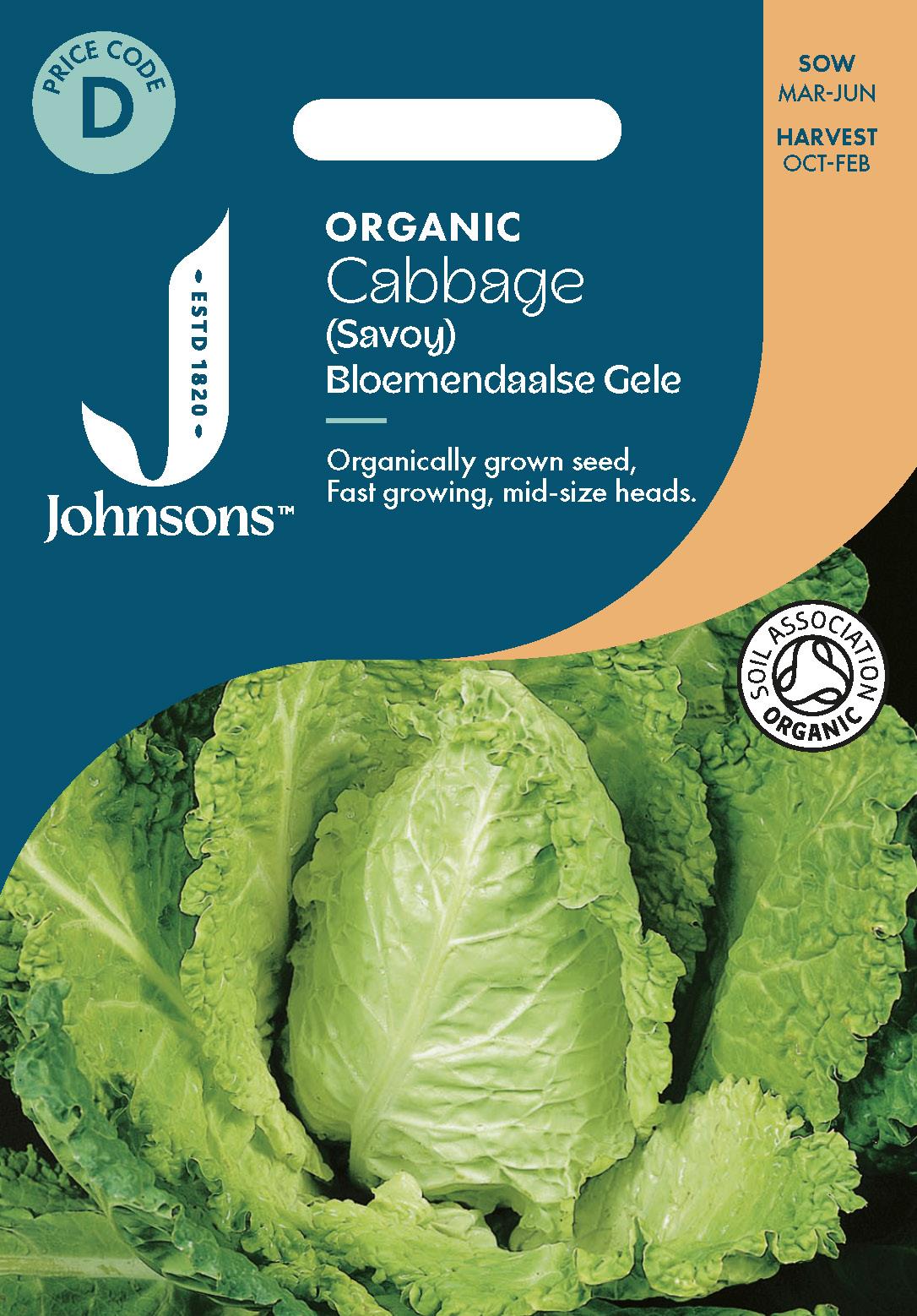 Johnsons - Organic Vegetable - Cabbage (savoy) Bloemendaalse Gele - 30 Seeds