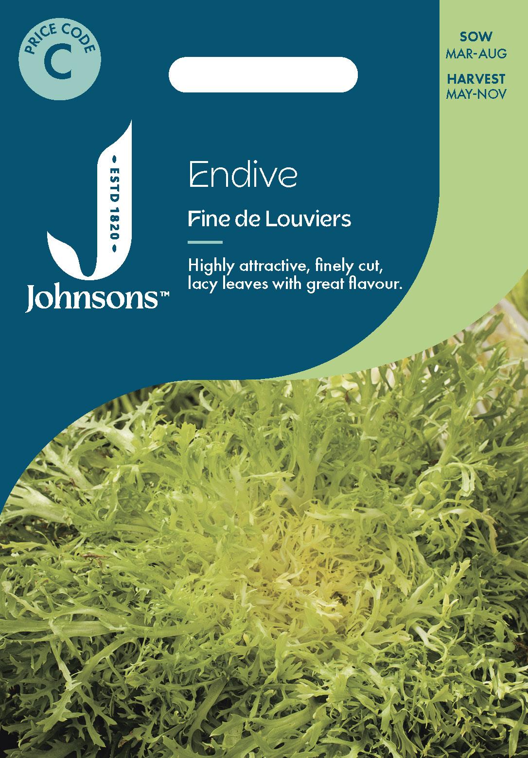 Johnsons - Endive Fine De Louviers - 1000 Seeds