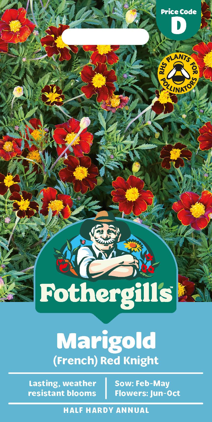 Fothergills French Marigold Red Knight Seeds
