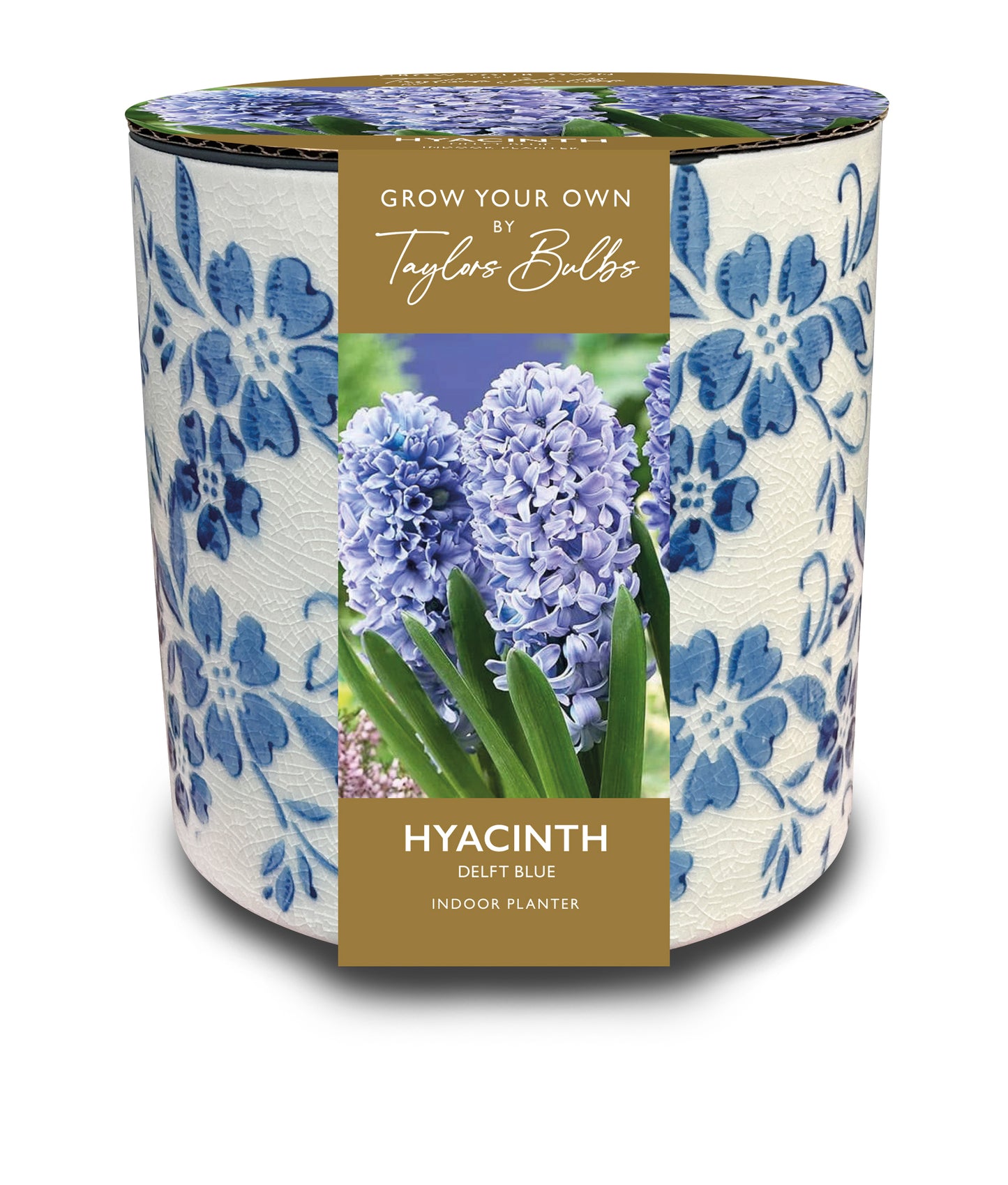 Vintage Blue Floral Ceramic Planter with 3 Hyacinth Delft Blue Bulbs