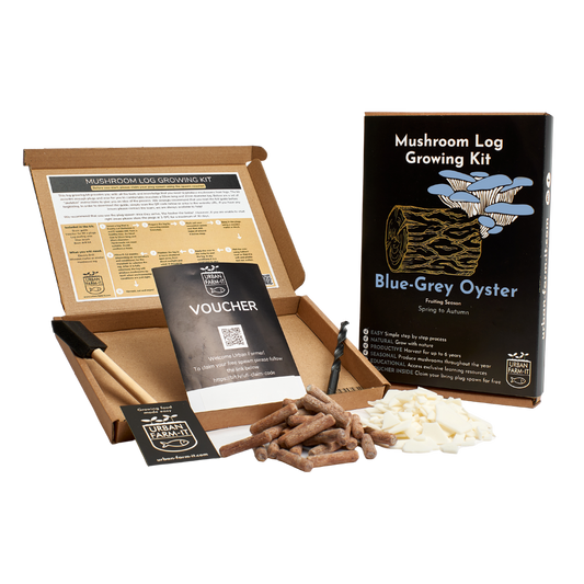 Mushroom - Blue Oyster Mushroom Log Growing Kit - Gift Pack