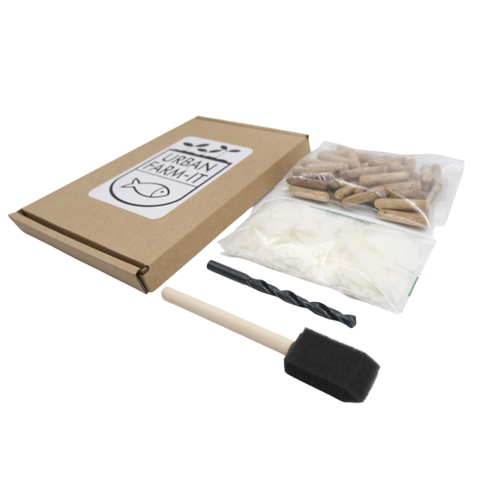Mushroom Blue Oyster Mushroom Log Growing Kit
