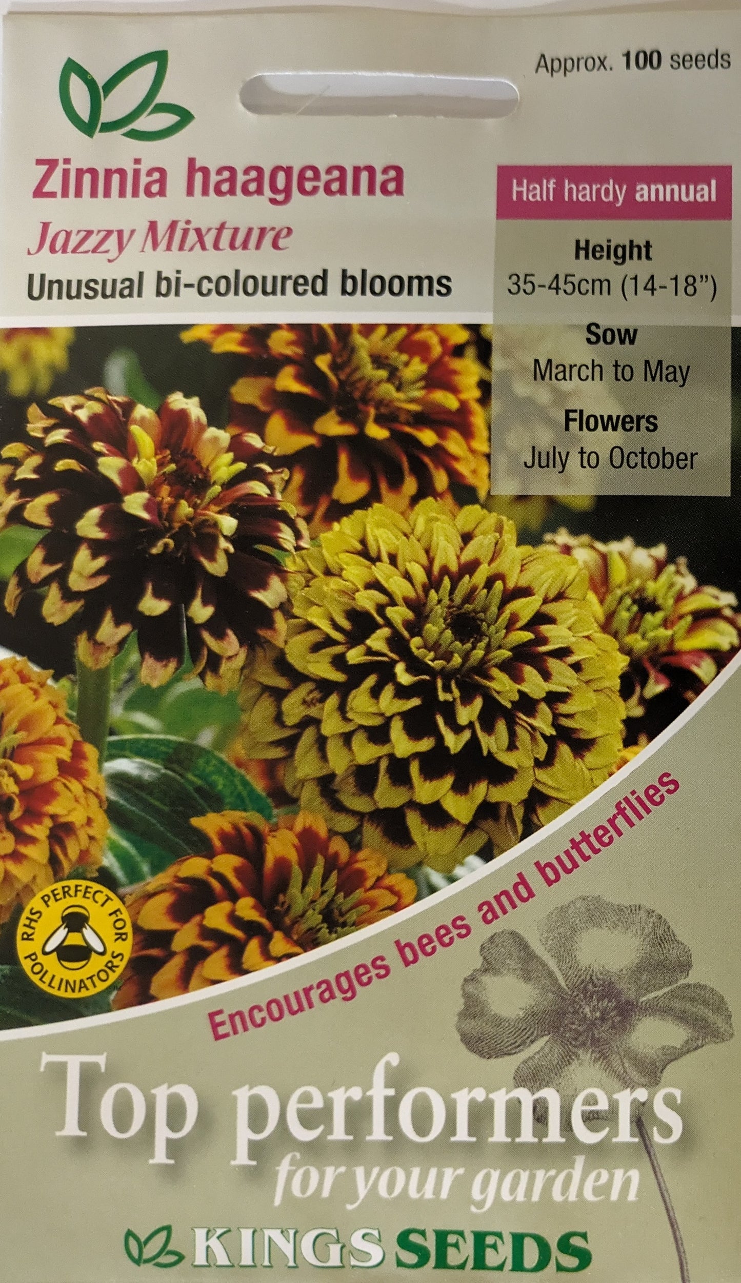 Kings Seeds Zinnia haageana Jazzy Mixed 100 Seed