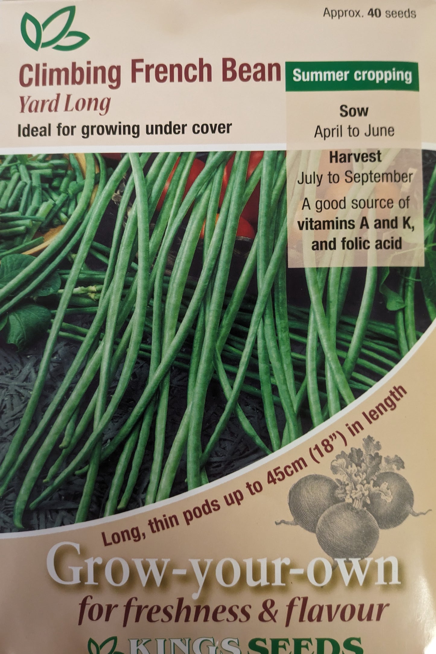 Kings Seeds Climbing French Bean Yard Long Seeds