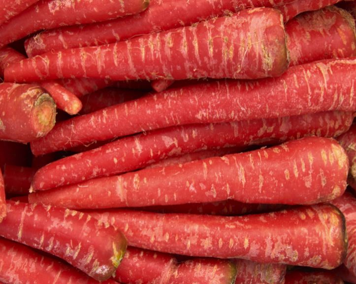 Carrot Red Samurai F1 Hybrid Seeds