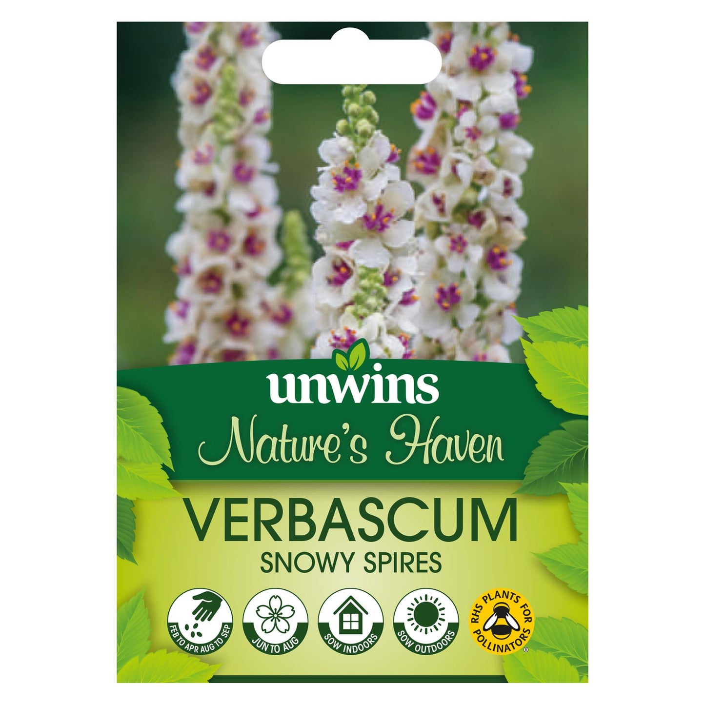 Unwins Flower Verbascum Snowy Spires - 30 Seeds